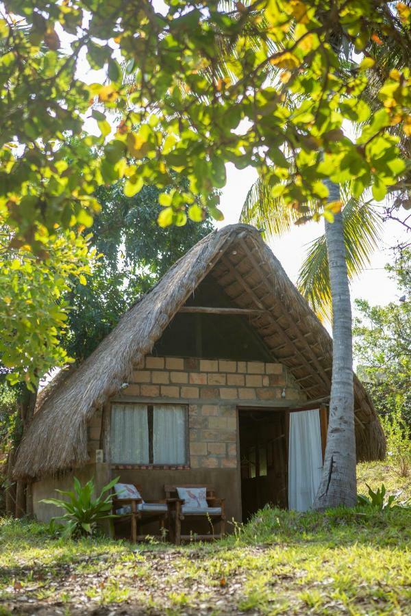 Turtle Cove Lodge And Yoga Shala Tofo Exterior photo